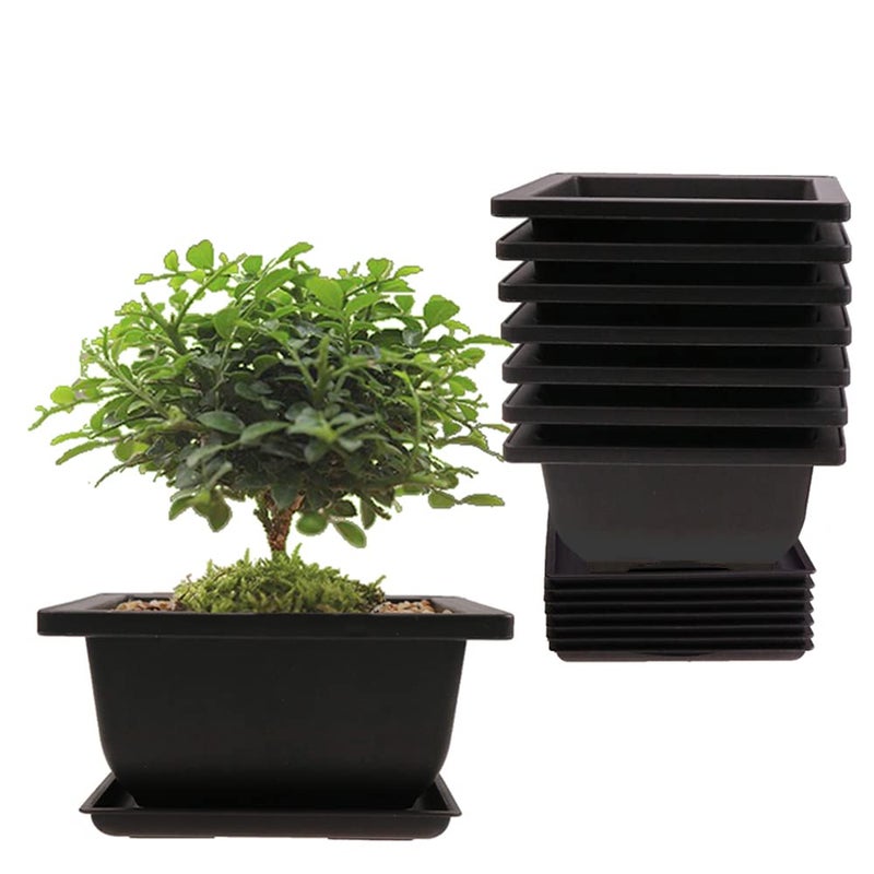 MUZHI 8PCS/Pack Retro Style Square Small Bonsai Training Pots with Tray, Mini Plastic Mocha Garden Flower Pot 4.7" - Image 1
